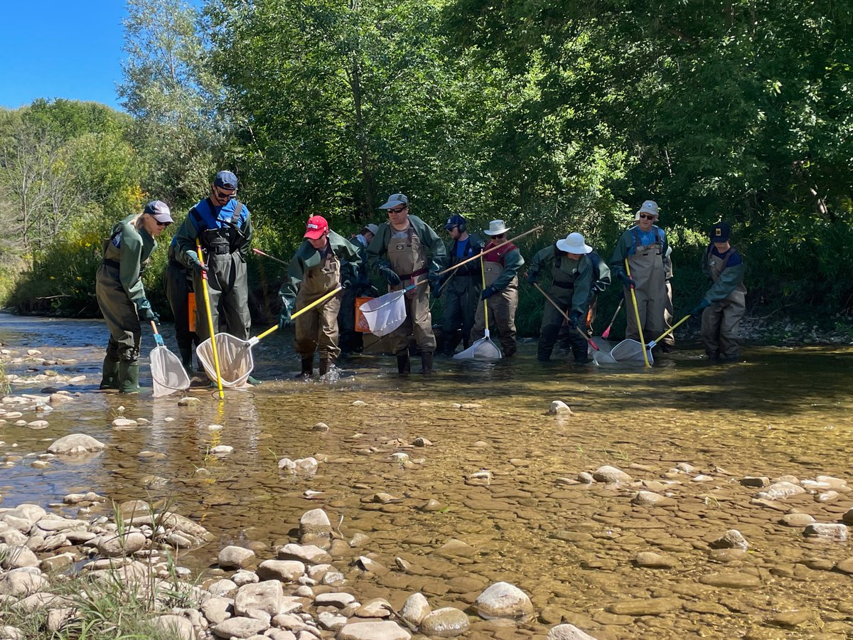 thecreemoreecho's tweet photo. Friends of the Mad River are one third of the way to a fundraising goal for a restoration plan, in partnership with Nottawasaga Valley Conservation Authority, to improve fish habitat and water quality in the Creemore/Avening area. For details read: https://t.co/HrV8Va8AeF https://t.co/zEZOB3i6YM