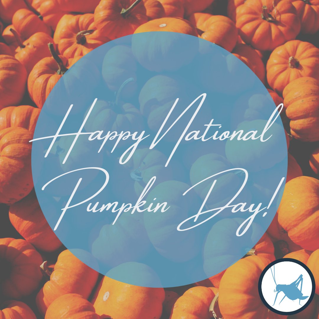 GetBlueCricket's tweet photo. Happy #NationalPumpkinDay! 🎃

This holiday is a great excuse to spend the day doing fun fall activities. You could get a pumpkin flavored drink or treat, carve a jack-o-lantern, or light a scented candle.

However you choose to recognize this day, we hope it's a good one! https://t.co/zMAXVbtM6I