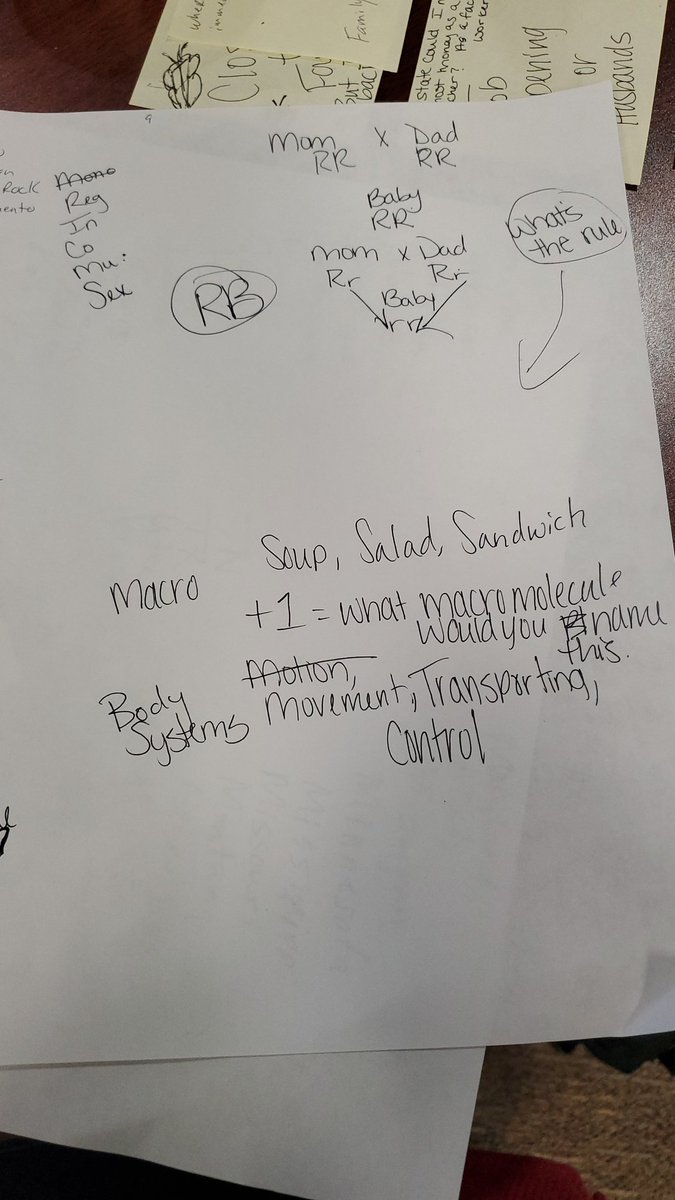 Kay-Dee Vales tweet media