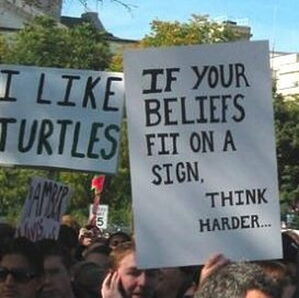Who doesn't like turtles?