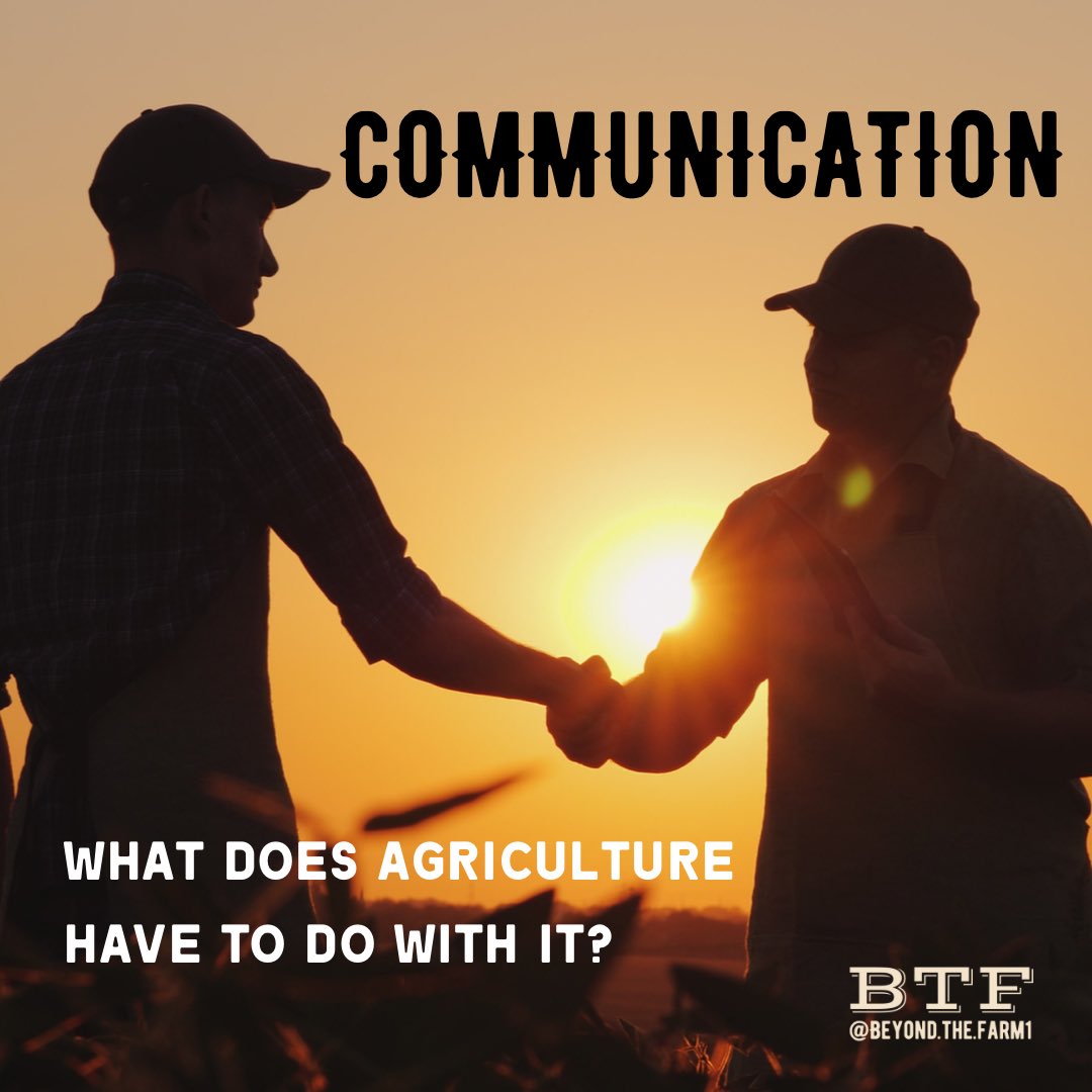 Beyond The Farm | Sydney tweet media