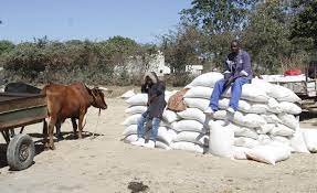1/2 GMB has not paid them for small grain deliveries made by many farmers to its Rutenga depot as far back as 2017. One such farmer delivered two tonnes of millet to GMB Rutenga Depot on October 06, 2017, but has not been paid. enviropresszim.com/2022/10/22/far…