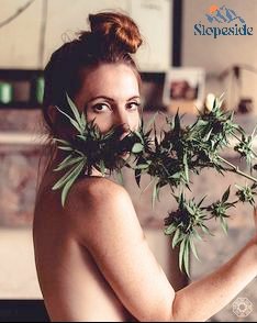 SlopeSidePreRol's tweet photo. Rise and shine! Today is harvest and we're rolling for your pleasure.
.
#bestprice #dailydeals #bogo #specials #sales #popupshop #slopesideprerolls #lightshade #denverdispensary #magnoliaroad #littlebrownhousedispensary #thejoint #snowmass #thestone #tweedleaf #localproduct https://t.co/QcrPpWl44t