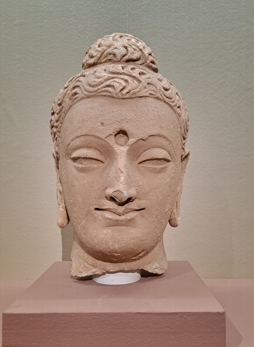 NicolasRuyssen's tweet photo. La saison afghane ouvre aujourd'hui ses portes au @MuseeGuimet avec des chefs d'œuvre à la beauté troublante, reflétant l'incroyable carrefour de civilisations qu'est l'Afghanistan.
"Afghanistan, ombres et légendes" jusqu'au 6 février.
#museeguimet #saisonafghanemnaag https://t.co/uBZjoHL7aD