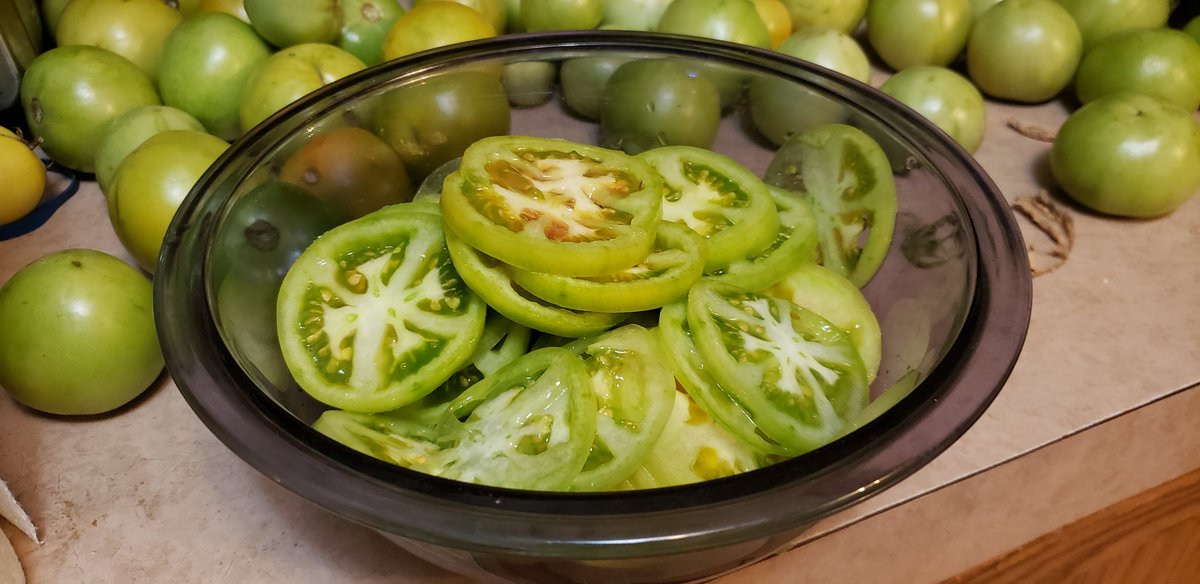 KevinMouser2's tweet photo. @altonbrown we are making fried green tomatoes and relish. What is your goto for fall green tomatoes? https://t.co/ezJ2pxV6xa