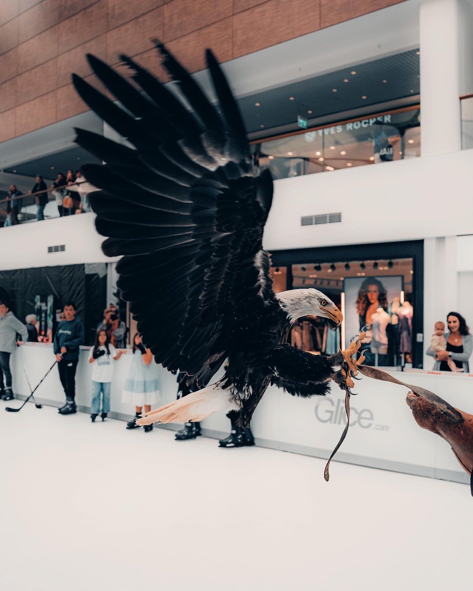 𝗚𝗦𝗛𝗖 x <a href="/CentreBalexert/">Balexert</a> 
⠀⠀⠀⠀⠀⠀⠀⠀⠀
C’était cool de vous voir aujourd’hui à notre séance de dédicaces au Centre Commercial Balexert ✍️

Merci à tous pour votre soutien! 😍