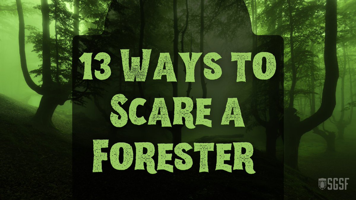 SGSF_Forests's tweet photo. NEW BLOG: https://t.co/RKQEIYk1IV
#Halloween is almost here and if you’re looking for a way to truly frighten a forester – here is some Halloween trickery guaranteed to send a shiver down the spine of any forester or forestry pro. #SouthernForests #SpookySeason #Blog https://t.co/sd5XlzCA7G