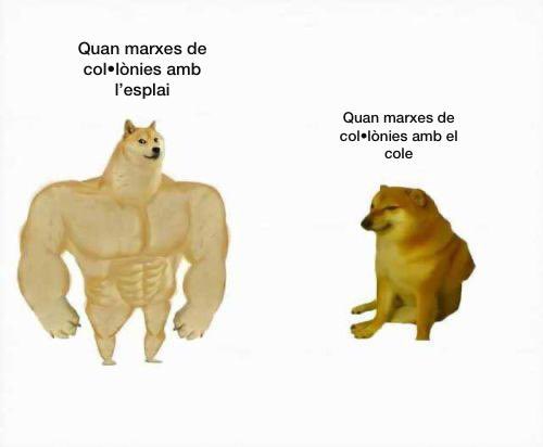 Uns memesplai