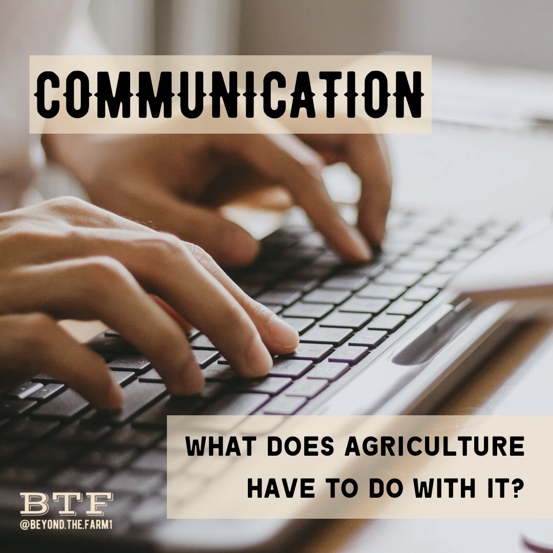 Beyond The Farm | Sydney tweet media