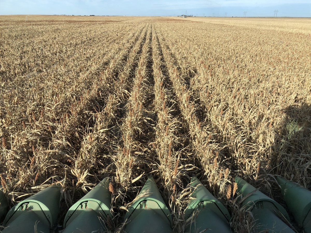 mcmailman12's tweet image. Anyone else tired of this year?