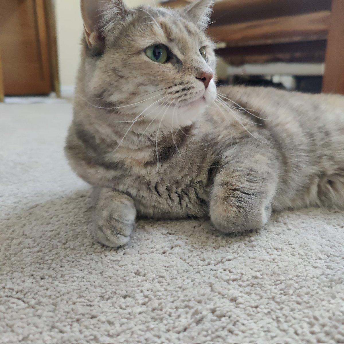 Brandon Goodell (@bggoodell) on Twitter photo 