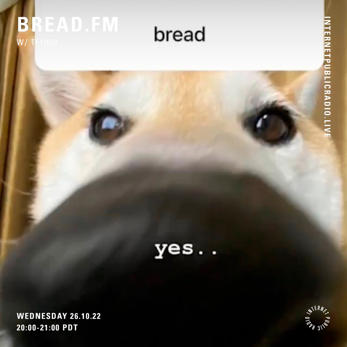 breadsf's tweet image. 𝐓𝐎𝐍𝐈𝐆𝐇𝐓
🍞𝕃𝔼𝕋'𝕊 𝔾𝔼𝕋 𝕋ℍ𝕀𝕊 𝔹ℝ𝔼𝔸𝔻🍞
we're back for the fourth show of our monthly series with @internetpradio

Wed Oct 26th, 8pm PDT

featuring TOKYO BREAD BALLER... tf1000 (crowd cheers)

🔒keep it locked🔒
internetpublicradio.live