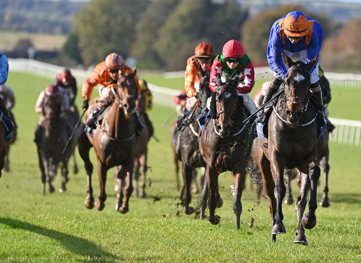 Ross O'Sullivan (@rosullivan82) on Twitter photo MR RANGO strongly holds on to WIN by 3.5 lengths ๐๐๐พ
<a href="/curraghrace/">The Curragh Racecourse</a>
Fantastic ride by @siobhanrutledge
#betway #irishhorseracing #HorseRacing #winners #teamwork MR RANGO strongly holds on to WIN by 3.5 lengths ๐๐๐พ
<a href="/curraghrace/">The Curragh Racecourse</a>
Fantastic ride by @siobhanrutledge
#betway #irishhorseracing #HorseRacing #winners #teamwork