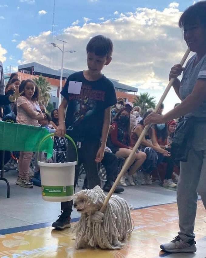 perritos_qctd's tweet photo. y el mejor disfraz es para: https://t.co/uE0hCeDq5f