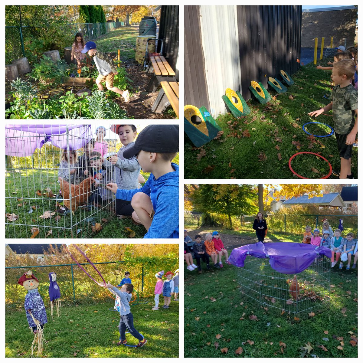 givinggardenUP's tweet photo. Terrific Tuesday @CAShcsd ! Ss gathered 2 celebrate Fall, local veggies, #NYFarms & #schoolgardenpotatoes We played games, planned rot pots 4 pumpkins & spoiled SweetPea #theHamburgHen #pumpkinlifecycle #letitrot #joyfulexperiences #schoolgardenconnections @HamburgCSD @HCSDF2S https://t.co/Tq9yduZWtK