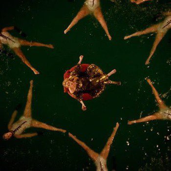 “I Drink Wine” Music Video out in 30 minutes. 

🔗 — youtu.be/jDvYDzFOK9A