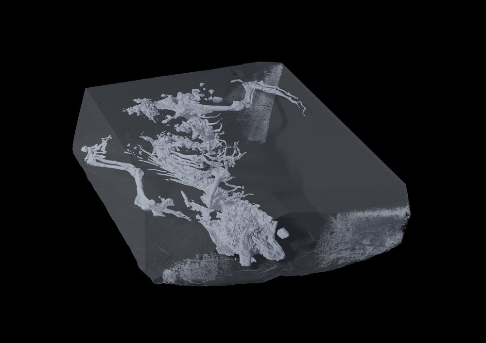 BensonLabOxford tweet media