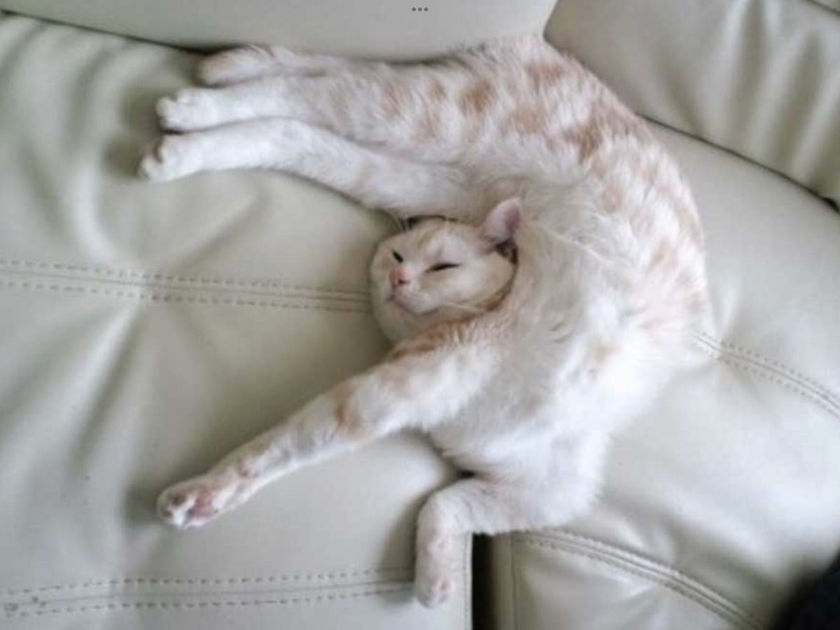 Хочешь спать - поспи.
Хочешь есть - поешь.
Хочешь отдохнуть - отдохни.
Главное - не ленись! 🤭😉