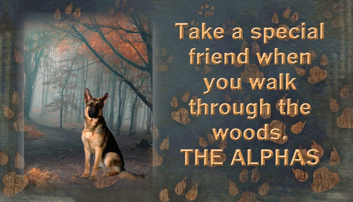 DianeRapp's tweet photo. Take a special friend when you walk in the woods. Sentient dogs and wolves may prove to be valuable allies, now and in the future. 
A mystery combined with #SciFi.

FREE on KU
THE ALPHAS
https://t.co/ugtFQ1Izpj
#BookBoost #IARTG https://t.co/s7I9ZC0iTI