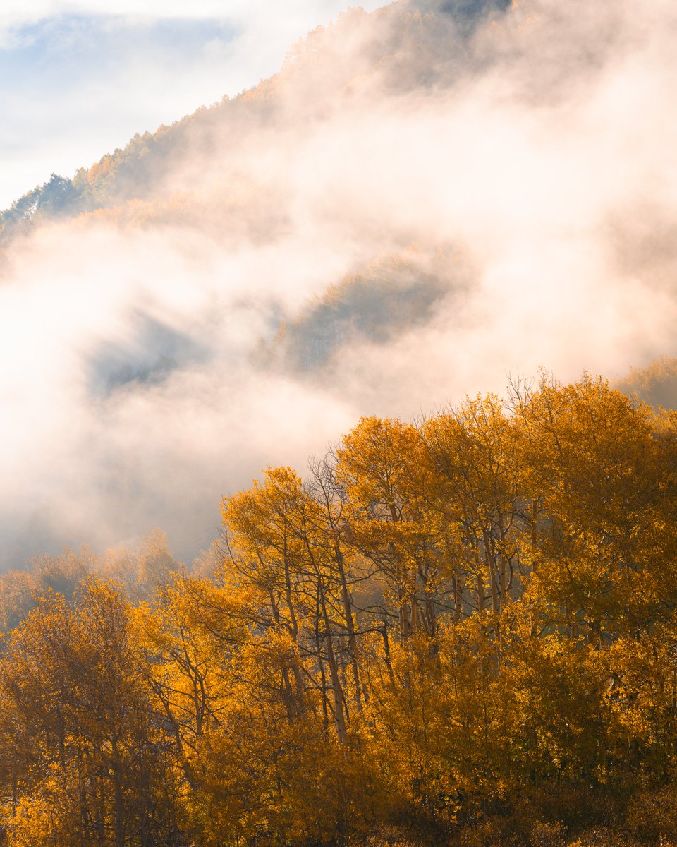 Fr33Water's tweet photo. Mystified by the magical colors of Fall in Colorado... πππ
#outtherecolorado #colorado #fall2022 #fallincolorado #visitcolorado https://t.co/E3XXn2wEhu