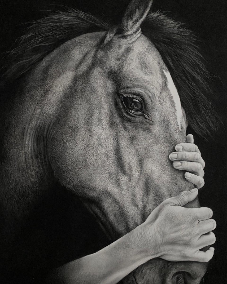 ‘Empathy’ my new horse pastel drawing. I’ve been working on this over the last few months….exploring the bond between horse and human….hope you like it 🐎 

#horseart #equine #pony #horsedrawing #horseportrait #drawing #realisticdrawing #art