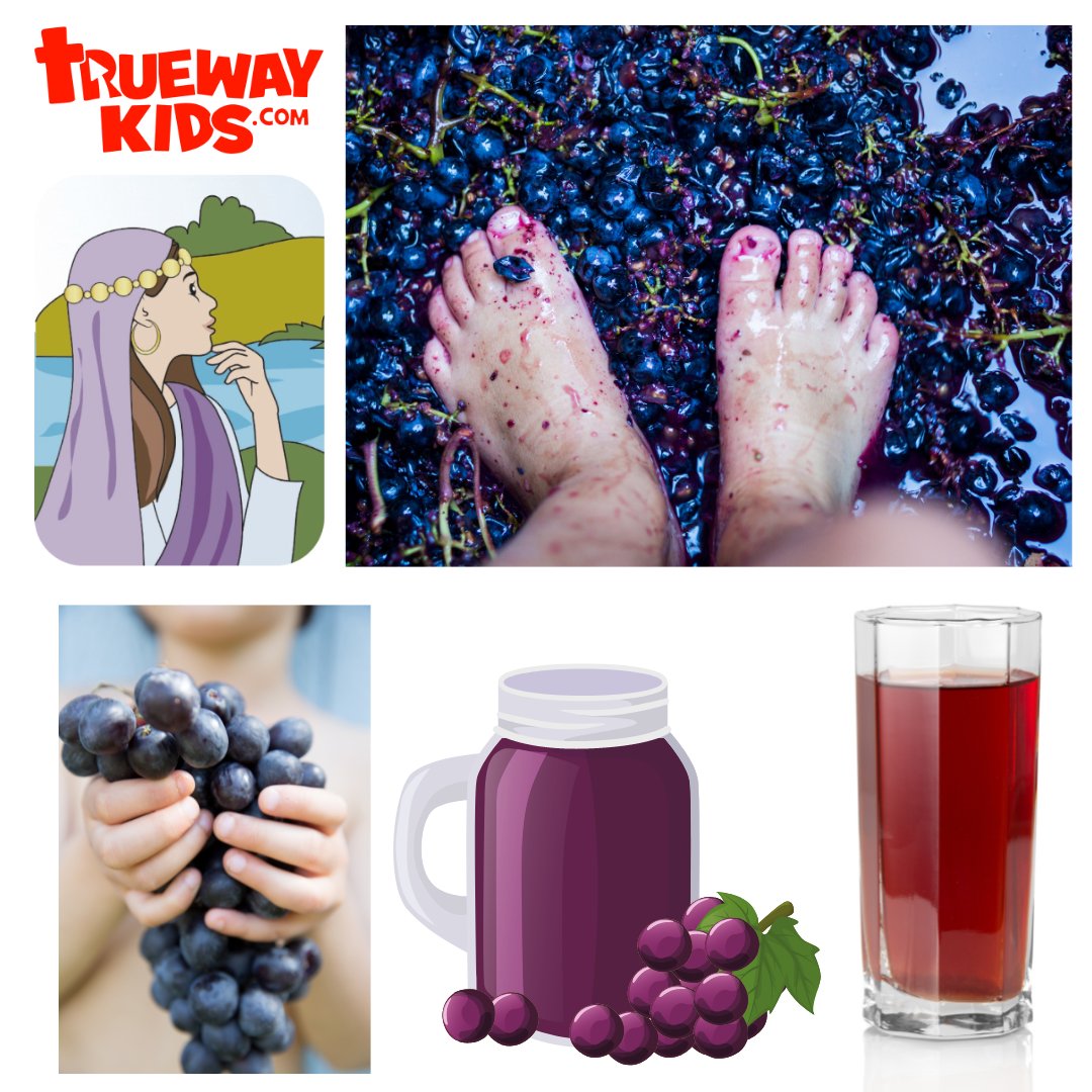 TruewayKids's tweet photo. Paul met Lydia on his missionary trip. She was a businesswoman who sells purple cloth. In this super fun and messy activity children will crush grapes to make their own purple die. Find more ideas on Trueway Kids https://t.co/g9WOMDHBR7