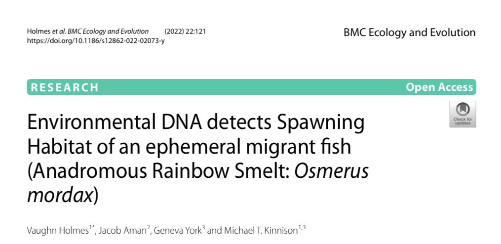 Michael Kinnison (@evoappslab) on Twitter photo Congrats to Vaughn Holmes (and team) on his first thesis pub evaluating optimal eDNA detection of anadromous rainbow smelt. Great example of eDNA for monitoring a tough-to-encounter species. <a href="/MaineEPSCoR/">Maine EPSCoR</a> <a href="/wellsreserve/">Wells Reserve at Laudholm</a> trebuchet.public.springernature.app/get_content/59… Congrats to Vaughn Holmes (and team) on his first thesis pub evaluating optimal eDNA detection of anadromous rainbow smelt. Great example of eDNA for monitoring a tough-to-encounter species. <a href="/MaineEPSCoR/">Maine EPSCoR</a> <a href="/wellsreserve/">Wells Reserve at Laudholm</a> trebuchet.public.springernature.app/get_content/59…