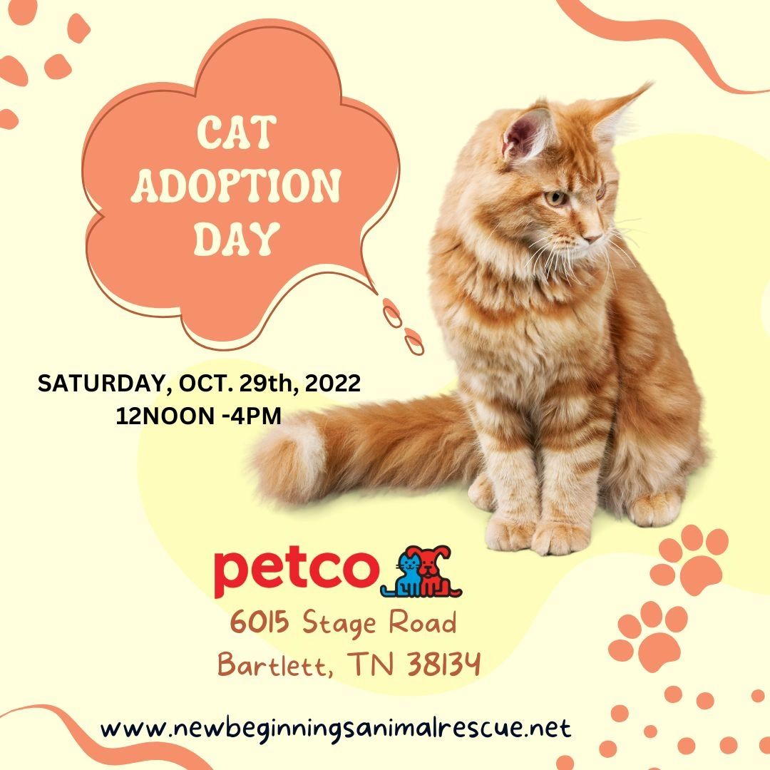 NewBeginningsMS's tweet photo. Ready to welcome the love of a pet into your home? Come on out to see some of our wonderful pets are that waiting their New Beginning!
 
Saturday, Oct 29th, 2022
12pm - 4pm
 
Petco - Bartlett
6015 Stage Road
Bartlett, TN 38134
 
For more information go to https://t.co/UElSEfEo8E https://t.co/0ALJ5ugqlf