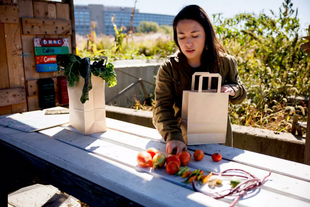 The Healing Garden at @HilltopIU provides refuge to the IU community. Rather than focusing on how much the garden yields, volunteers talk about how things grow, what smells and tastes are familiar to them, and what memories are tied to food. go.iu.edu/4BQg