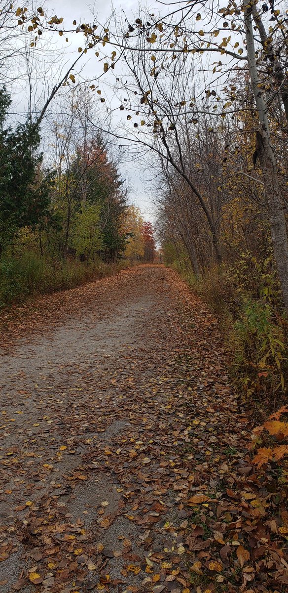 Thinking about our path to Outdoor Education <a href="/MilneOEC/">Milne Outdoor Centre</a> <a href="/YRDSBoutdoorEd/">YRDSB Outdoor Ed</a>