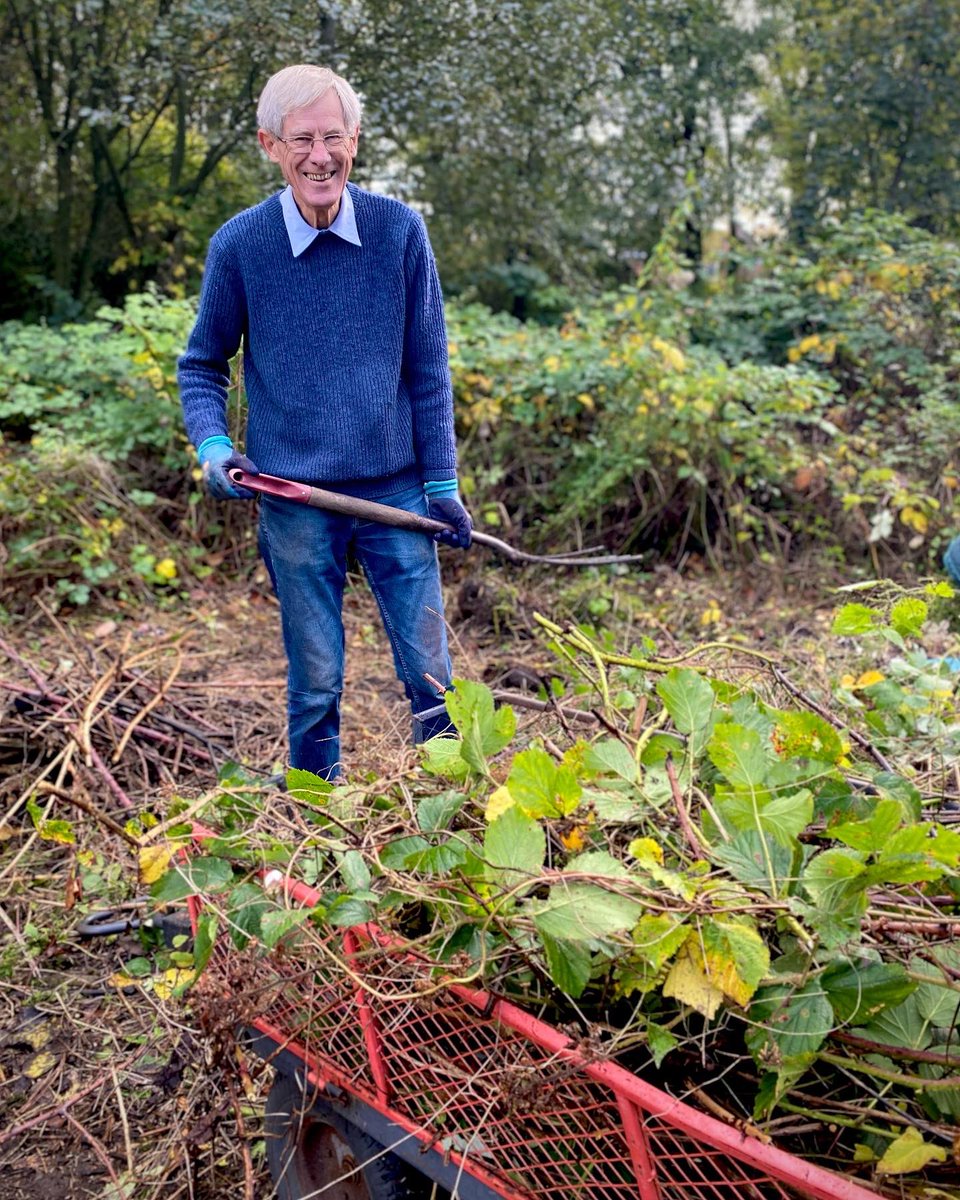 ClemsGardenHQ's tweet photo. Another busy morning at @ClemsGardenHQ today…from bramble clearing to managing the compost bins; lifting & drying summer bulbs, planting spring bulbs; creating beautiful funeral flowers…& in Clive’s case supervising and looking cute 😻 #TodayAtClems #Volunteers #GrowingKindness https://t.co/QtoJ5BLpeH