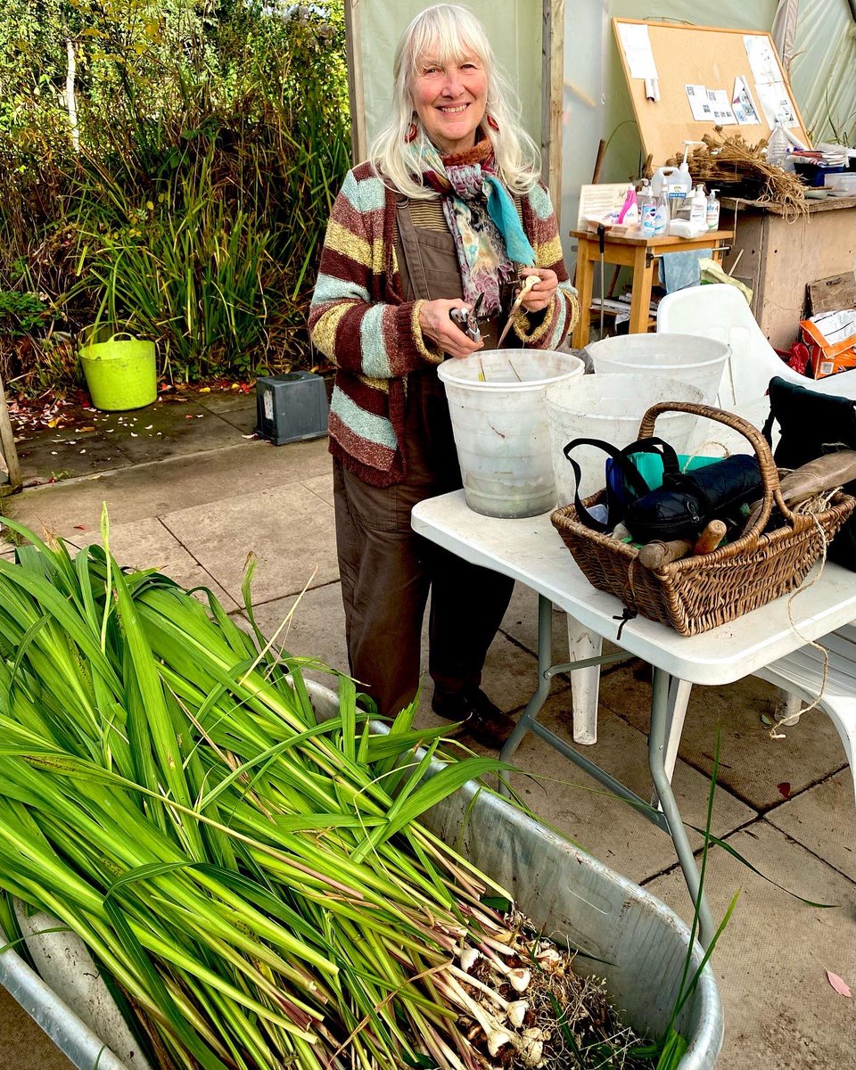 ClemsGardenHQ's tweet photo. Another busy morning at @ClemsGardenHQ today…from bramble clearing to managing the compost bins; lifting & drying summer bulbs, planting spring bulbs; creating beautiful funeral flowers…& in Clive’s case supervising and looking cute 😻 #TodayAtClems #Volunteers #GrowingKindness https://t.co/QtoJ5BLpeH