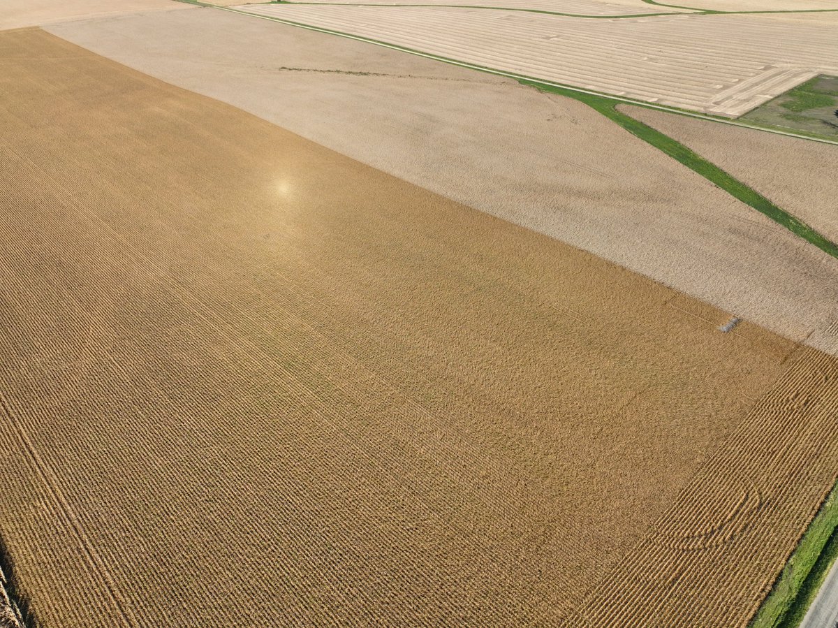 FoulkShay's tweet image. Whole-farm 2022 soybean yield average in our operation by trait:

Enlist           76.6
XtendFlex   71
Non-GM     66.8

This is just sharing of raw data, not for any other purpose. Our seed business sells all 3 traits and there are places on farms for each product and #agtwitter