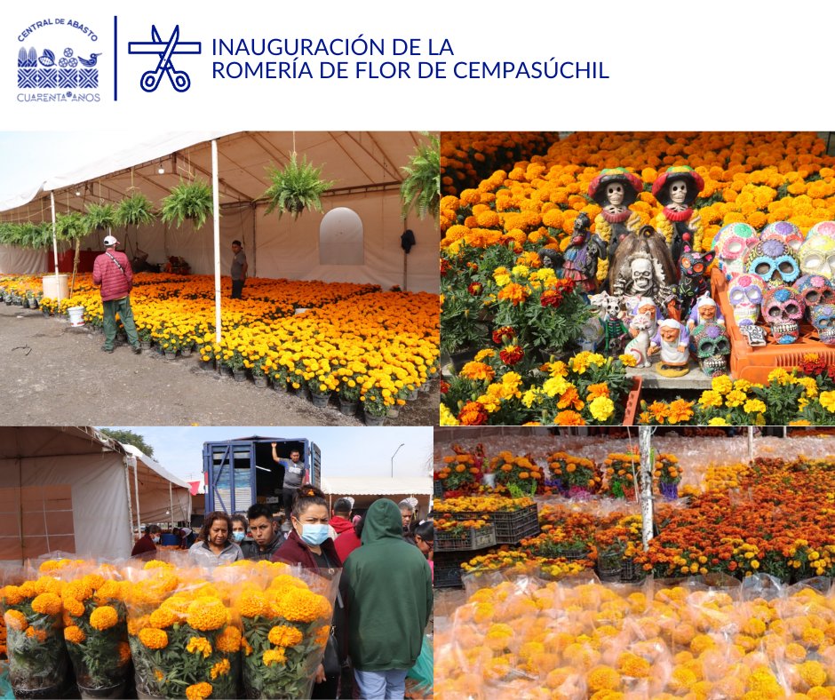 La CEDA te invita a la inauguración 🥳 de la 'Romería de Flor de Cempasúchil', que se llevará a cabo este jueves 27 de octubre a las 10:00 horas, en el terreno conocido como “Caleta”, ubicado en el Eje 5 Sur. 📌bit.ly/3FksYGm...(1/2)