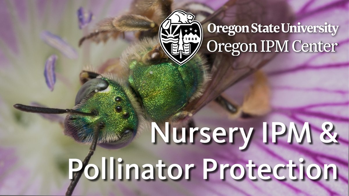 Oregon IPM Center tweet media