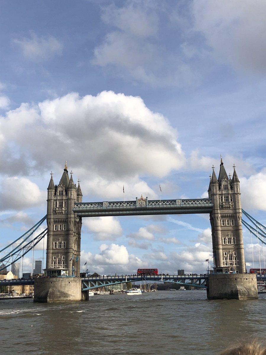 Jilly Taylor tweet media