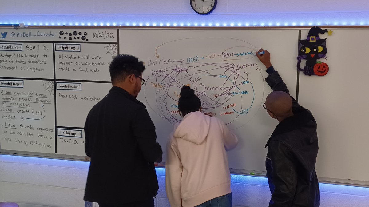 MrBell_Educator's tweet photo. This week in Environmental Science- We're learning about the transfer of energy from one organism to the next via food chains, food webs, &amp; trophic levels. Here are some of my students working together to create a food web. https://t.co/uFby6ByNPV