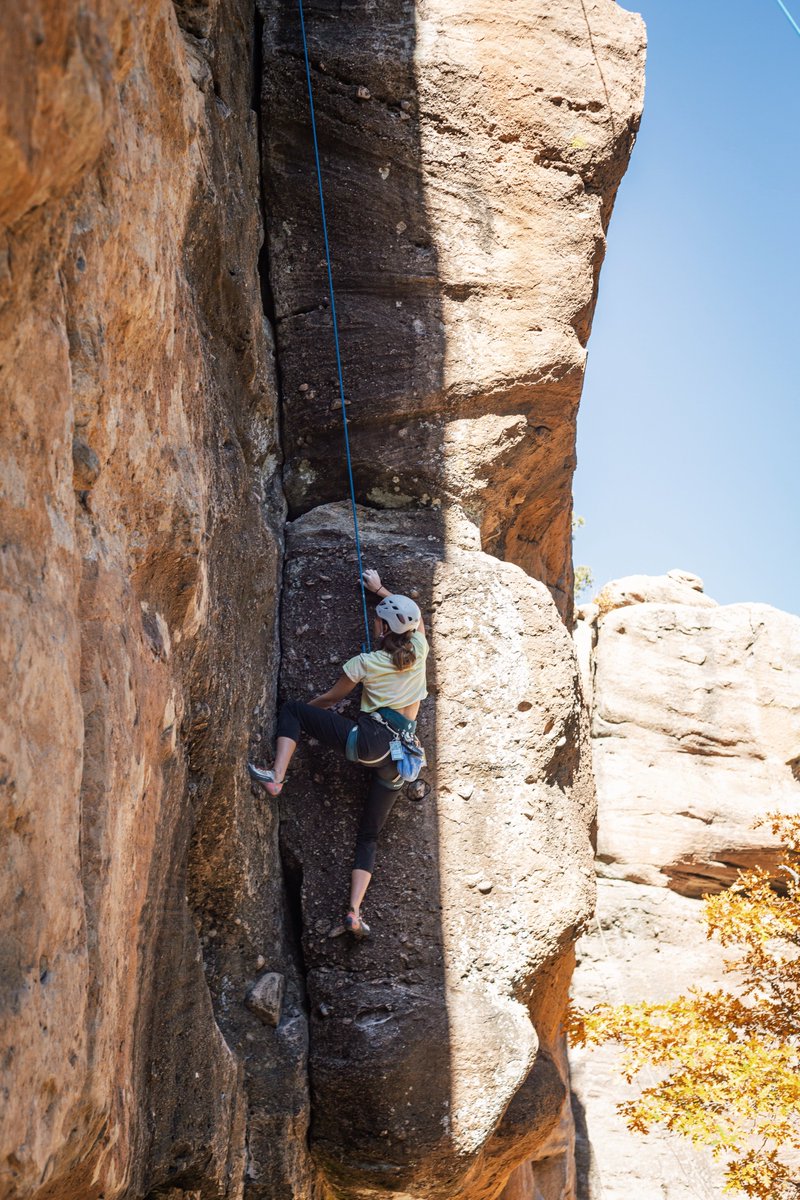 Marketing for Change tweet media