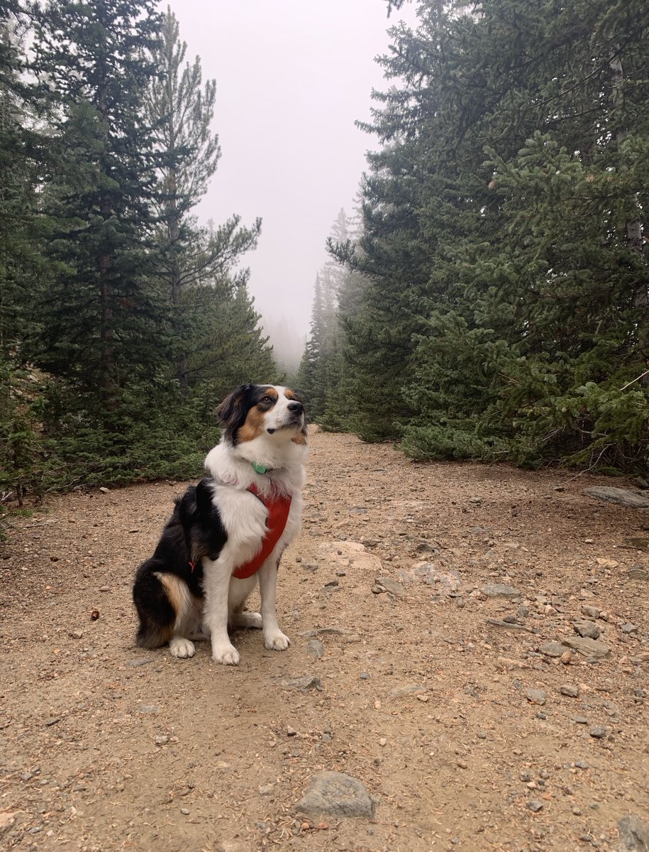 Marketing for Change tweet media