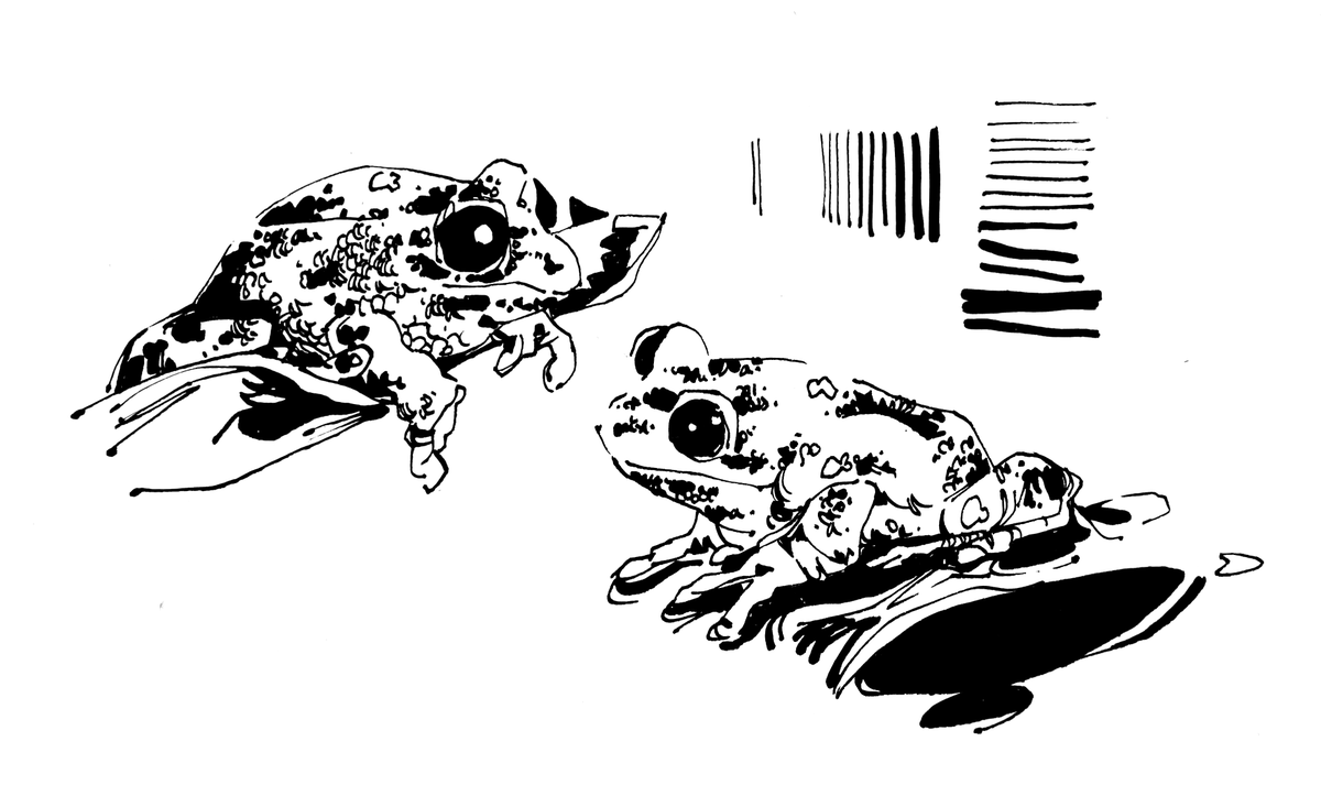 Azaan (@almbkn) on Twitter photo 