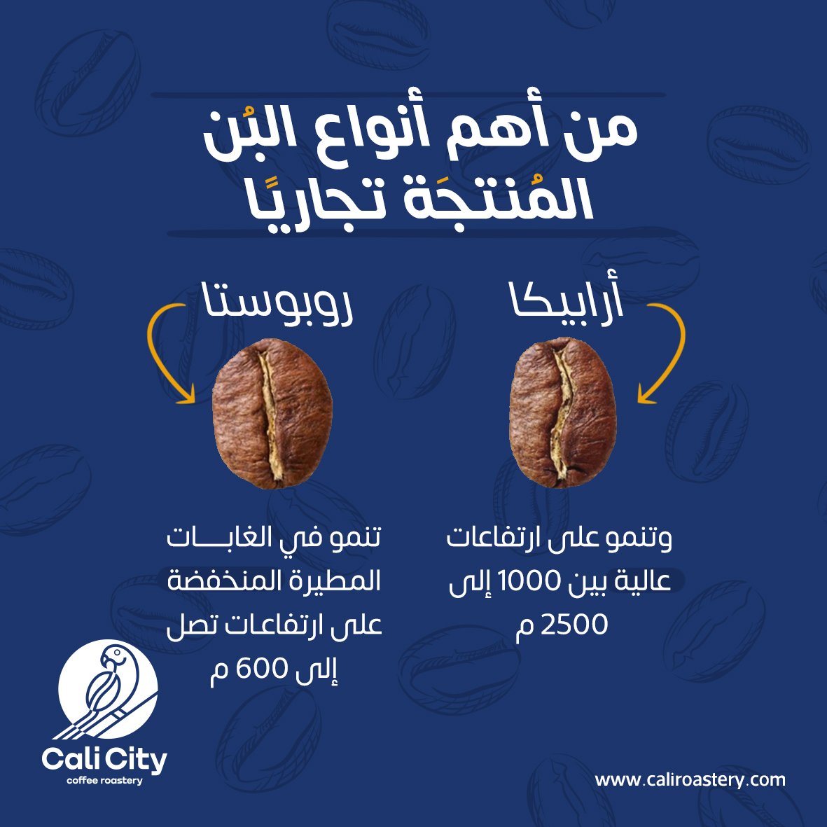 calicity220's tweet photo. من اهم أنواع البن المنتجة تجاريا:
 
- ارابيكا
- روبوستا
#قهوة #قهوة_مختصة #البن #قهوة_الصباح #قهوة_المساء https://t.co/rnEjzAfM7P