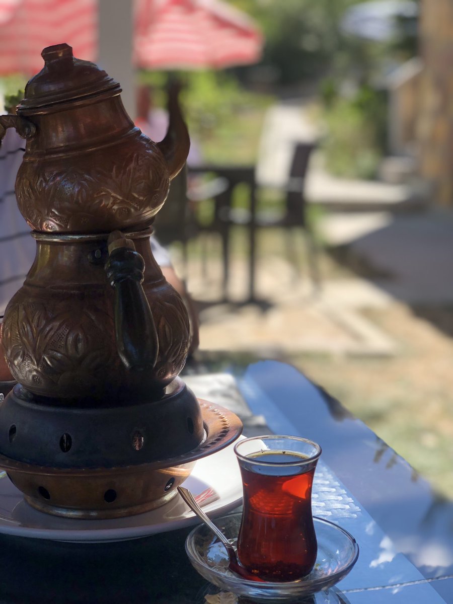 Bir ikindi vakti kızıllığındadır şimdi hayat
Doyasıya seyretmek lazım güneşi,
Gökyüzünü ve gözlerini 
Zaman geçiyor akşam çöktü çökecek 
Hüznün parmaklıkları arasında sıkışıp kalmış ömrümüze.