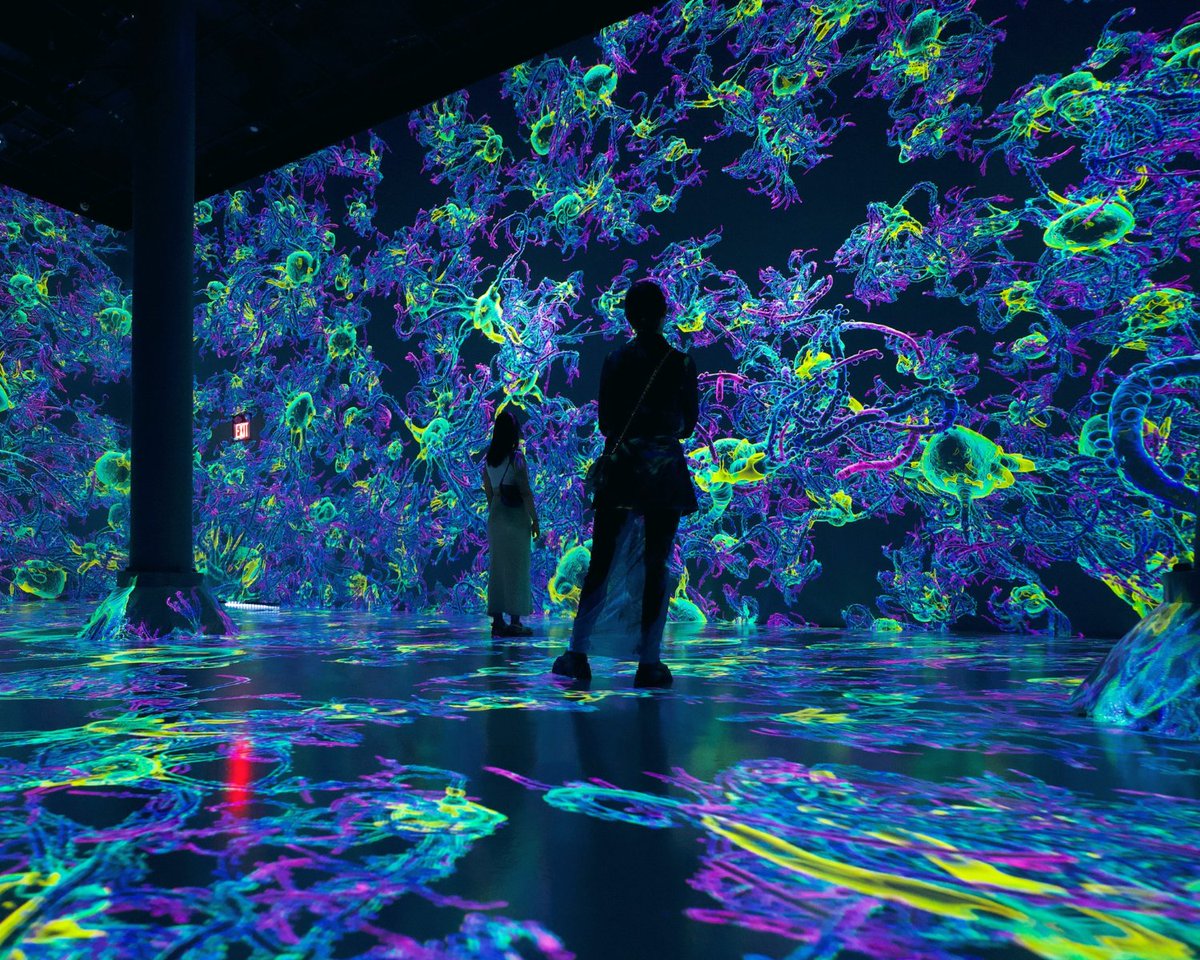 artechouse's tweet photo. Our brain is a source of wonder and mystery. Have you ever wondered what goes on inside our brains throughout our lifetime? At #ARTECHOUSENYC you can explore the journey of the #HeroNeurnonโs life from start to finish. #LifeofaNeuron #Neuroscience #NeuroTwitter #Brain https://t.co/f2QB1HBe8H