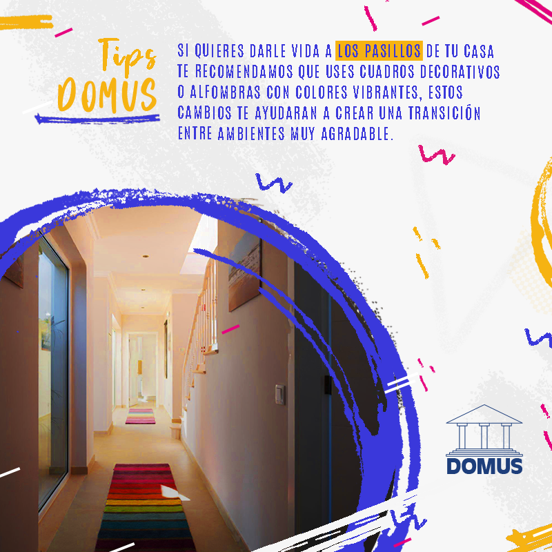 inmodomus's tweet photo. 🔵Decorar los #pasillos de nuestra casa nos ayudará a crear una transición entre ambientes agradable, puedes usar #cuadrosdecorativos 🖼 o #alfombras con colores vibrantes para decorar a tu gusto.😉

#InmobiliariaDOMUS #TipsDOMUS #Mérida #España #decoraciónhogar #casa #decoración https://t.co/ngicDHpg8V