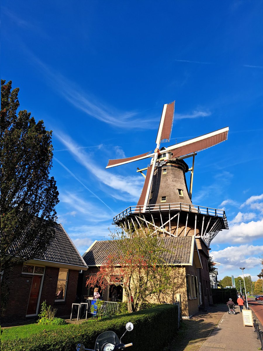 TessavanS's tweet photo. Heerlijk dit Herfstweer met zonnetje! Genoten van een wandeling in de achtertuin. #kralingsebos #thuiswerken #middagwandeling https://t.co/HkT0m7OEQL