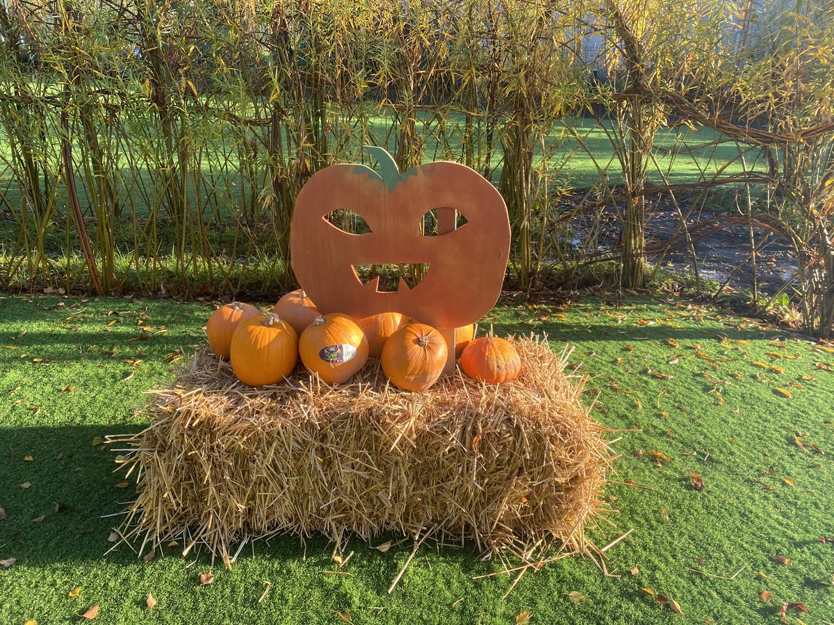 Fabulous day at the Ashton pumpkin patch trying out our new surface . Thanks to pupils who helped set up in that rain this morning #teamworkmakesthedreamwork