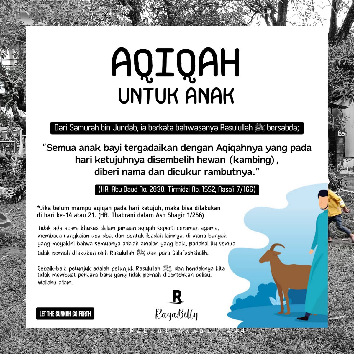 RayaBilly's tweet photo. Aqiqah dianjurkan 2 ekor kambing bagi anak laki-laki dan 1 ekor kambing bagi anak perempuan. Baarakallahu fiikum. #aqiqah #letthesunnahgoforth https://t.co/DC9LhwduuE
