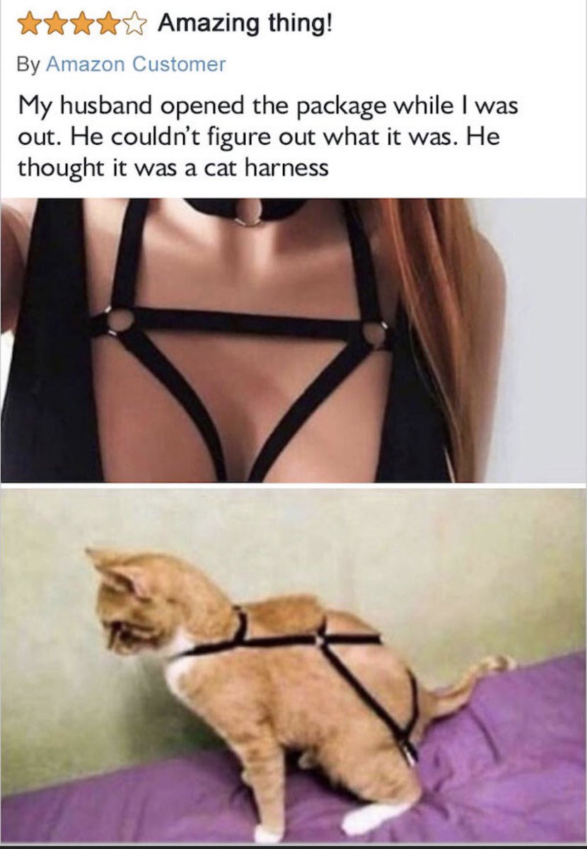 Omg!  Dying laughing.