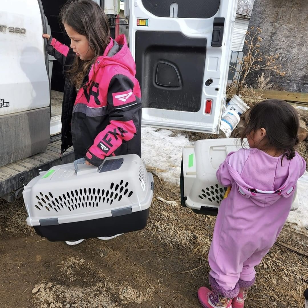 When Lily’s family first found her, she was all alone. 🐶 Lily created an instant connection with the kids & the family knew they needed to get her help. Thanks to our partners at @aarcs and with the help of donations, Lily got the care she needed. 😊💙 🩺 📍: @AARCS_Canada