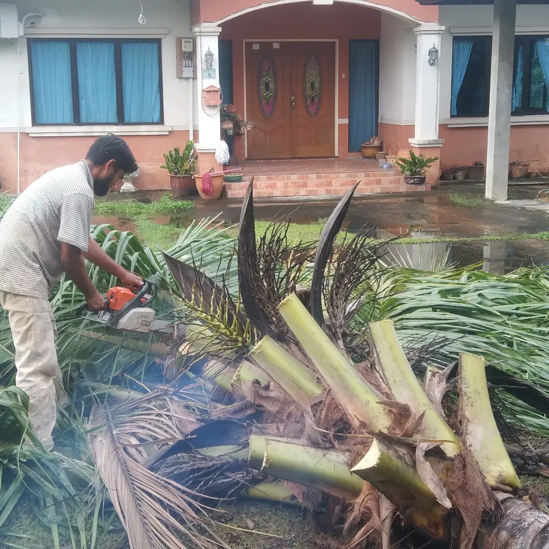 Assalamualaikum boss🙋‍♂
👉Rental pickup Service 
👉pindah rumah
👉potong pokok
👉Buang sampah
💥Than line line works
📲📞whatsapp call:
+673- 7282313
